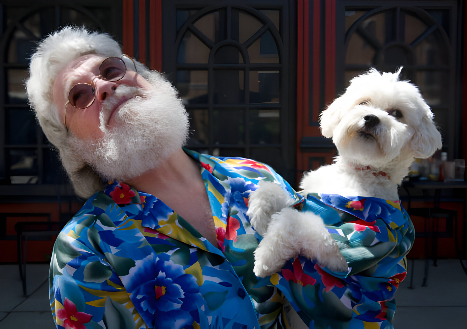 Image of man in shirt with bearded dogs.